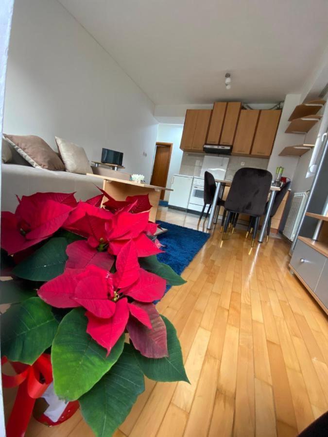 Tea Apartment Skopje Bagian luar foto
